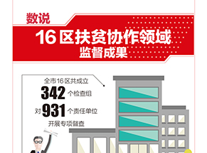 数说16区扶贫协作领域监督成果