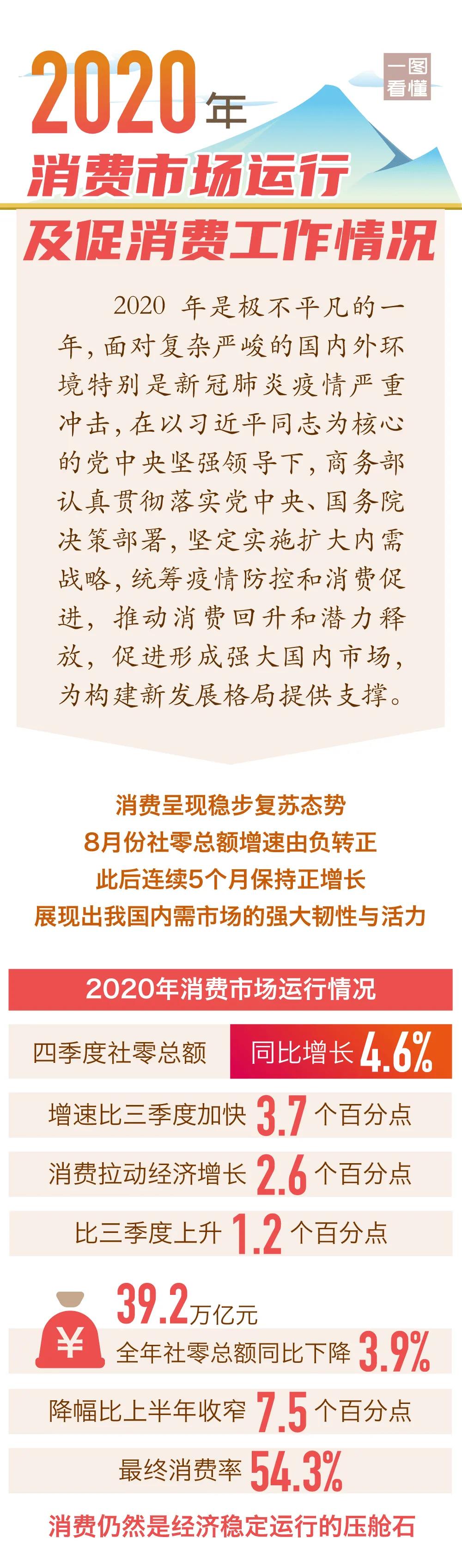  2020年消费市场运行及促消费工作情况