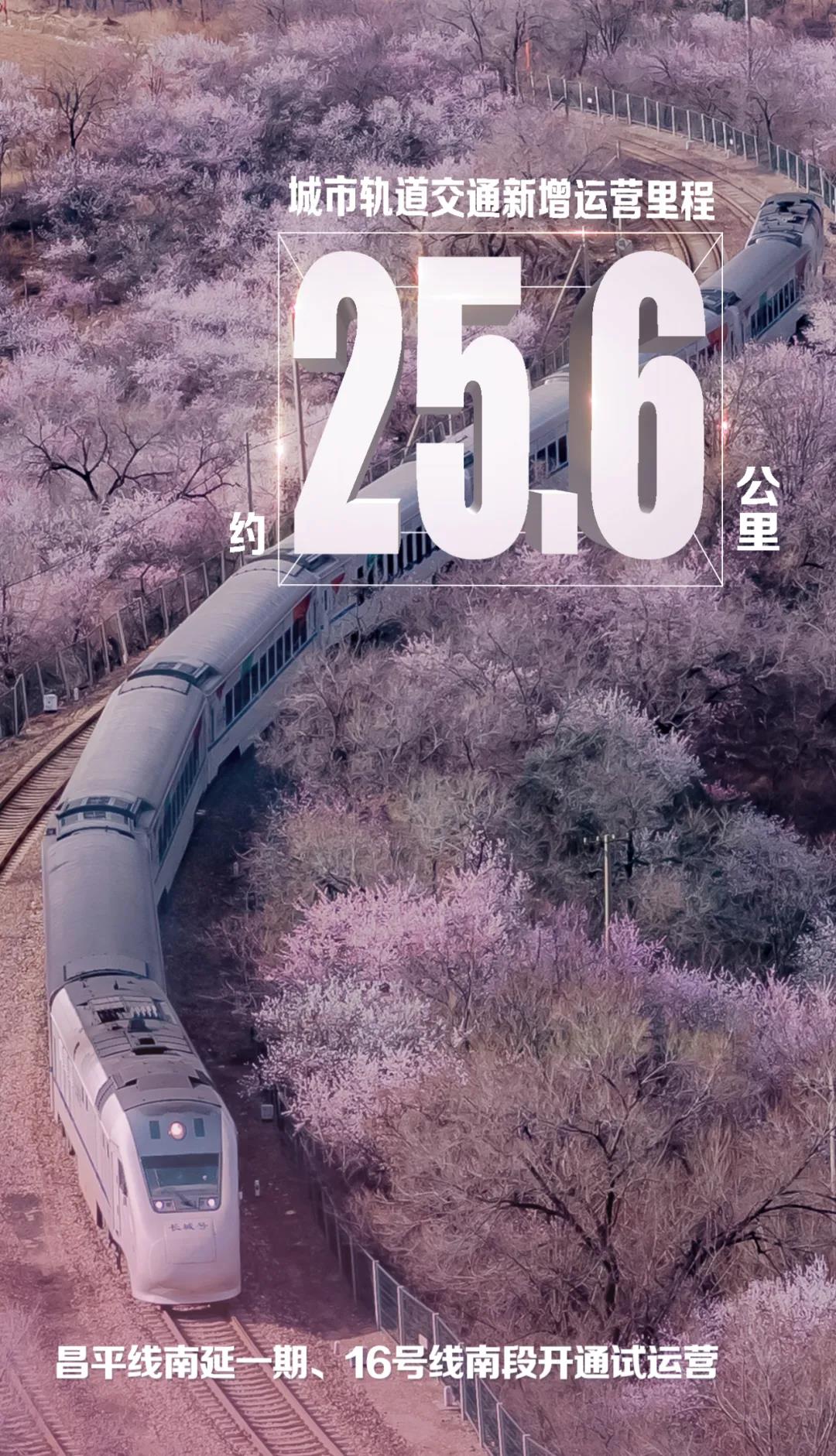 2022年重点工作安排