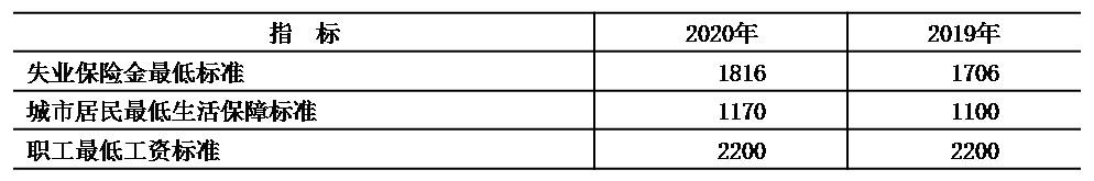 表12 社会保障相关待遇标准
