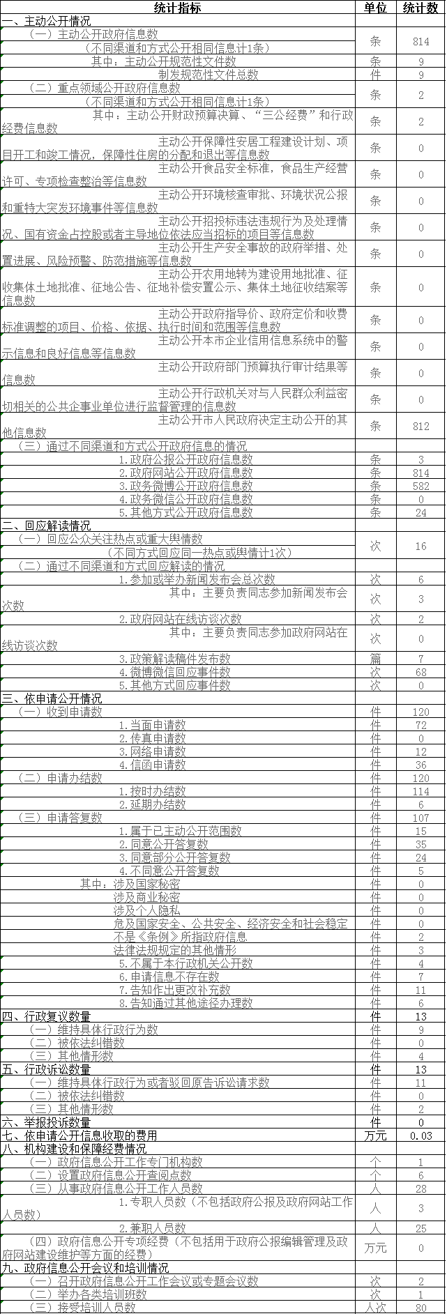 政府信息公开情况统计表