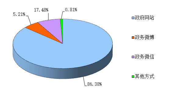 通过不同渠道和方式公开政府信息的情况