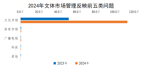 2024年文体市场管理反映前五类问题