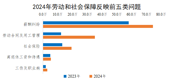 2024年劳动和社会保障反映前五类问题