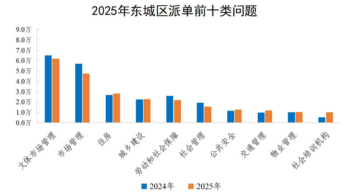 2025年东城区派单前十类问题