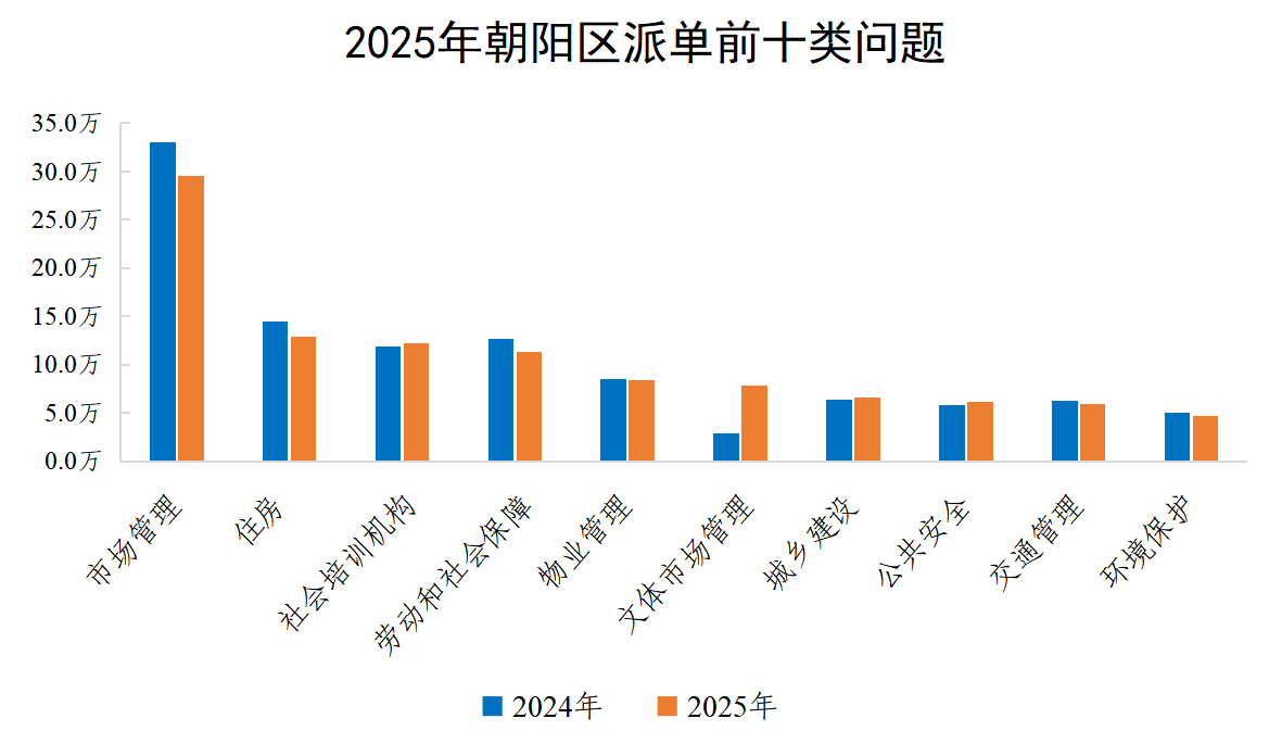 2025年朝阳区派单前十类问题
