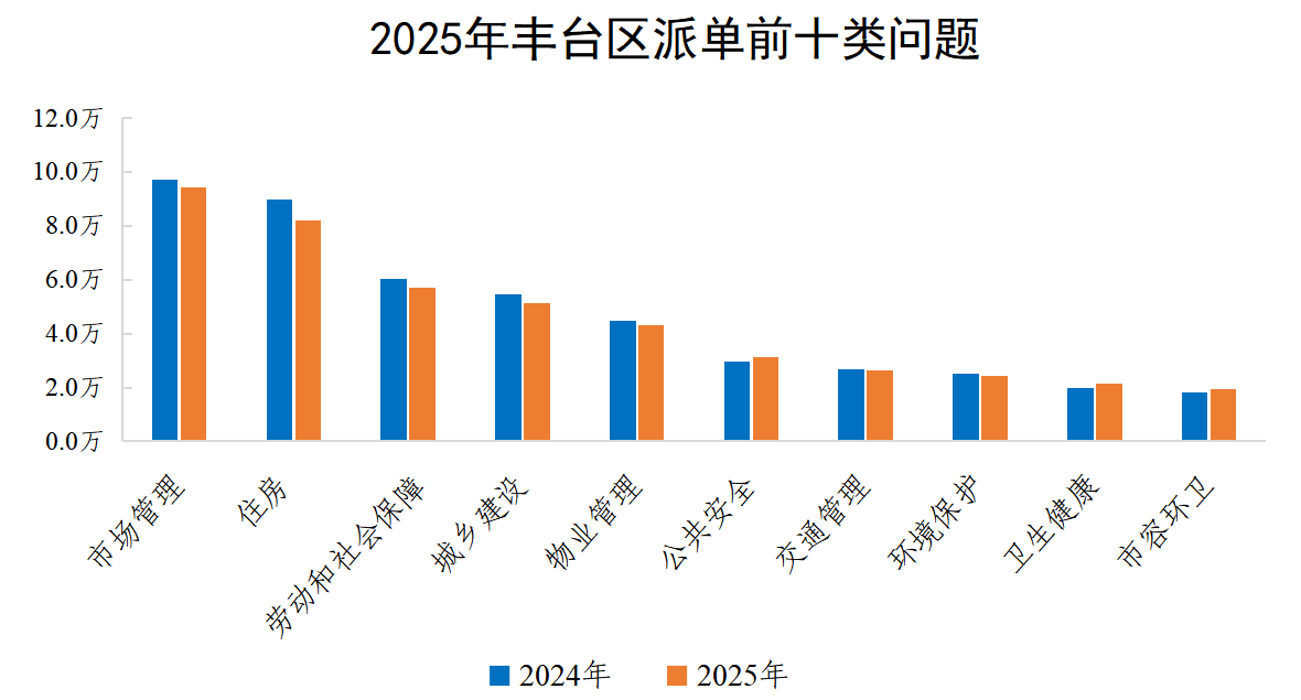 2025年丰台区派单前十类问题
