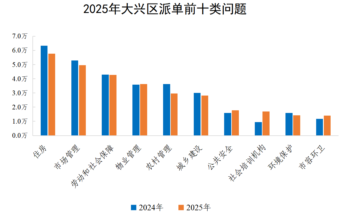 2025年大兴区派单前十类问题