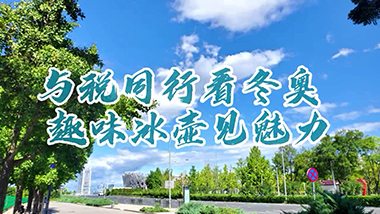 女子冰壶