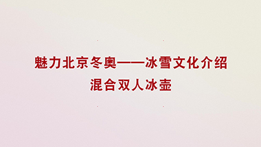 混合双人冰壶