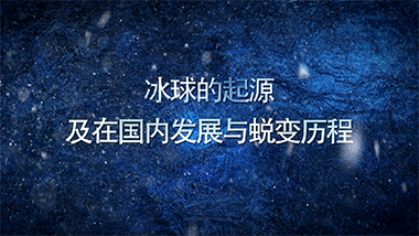 69号：男子冰球