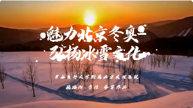 21号：单板滑雪障碍追逐混合团体