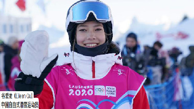 15号：自由式滑雪女子坡面障碍技巧