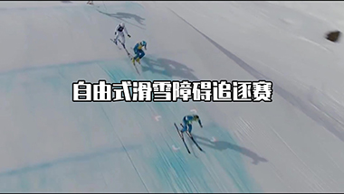 12号：自由式滑雪男子障碍追逐