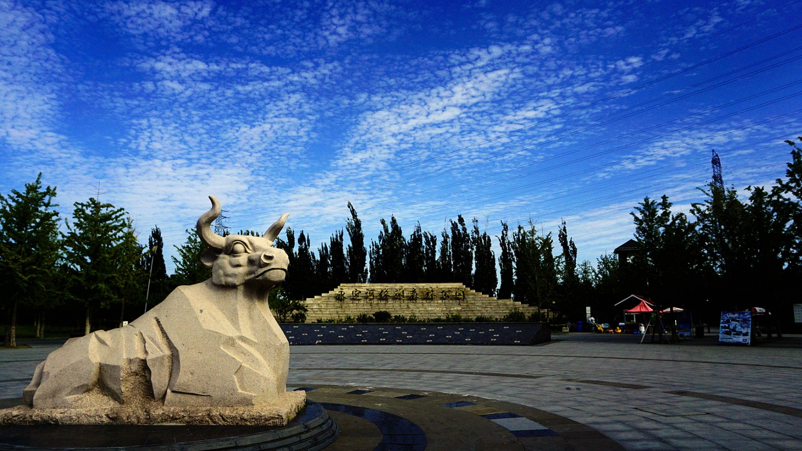 永定河森林公园