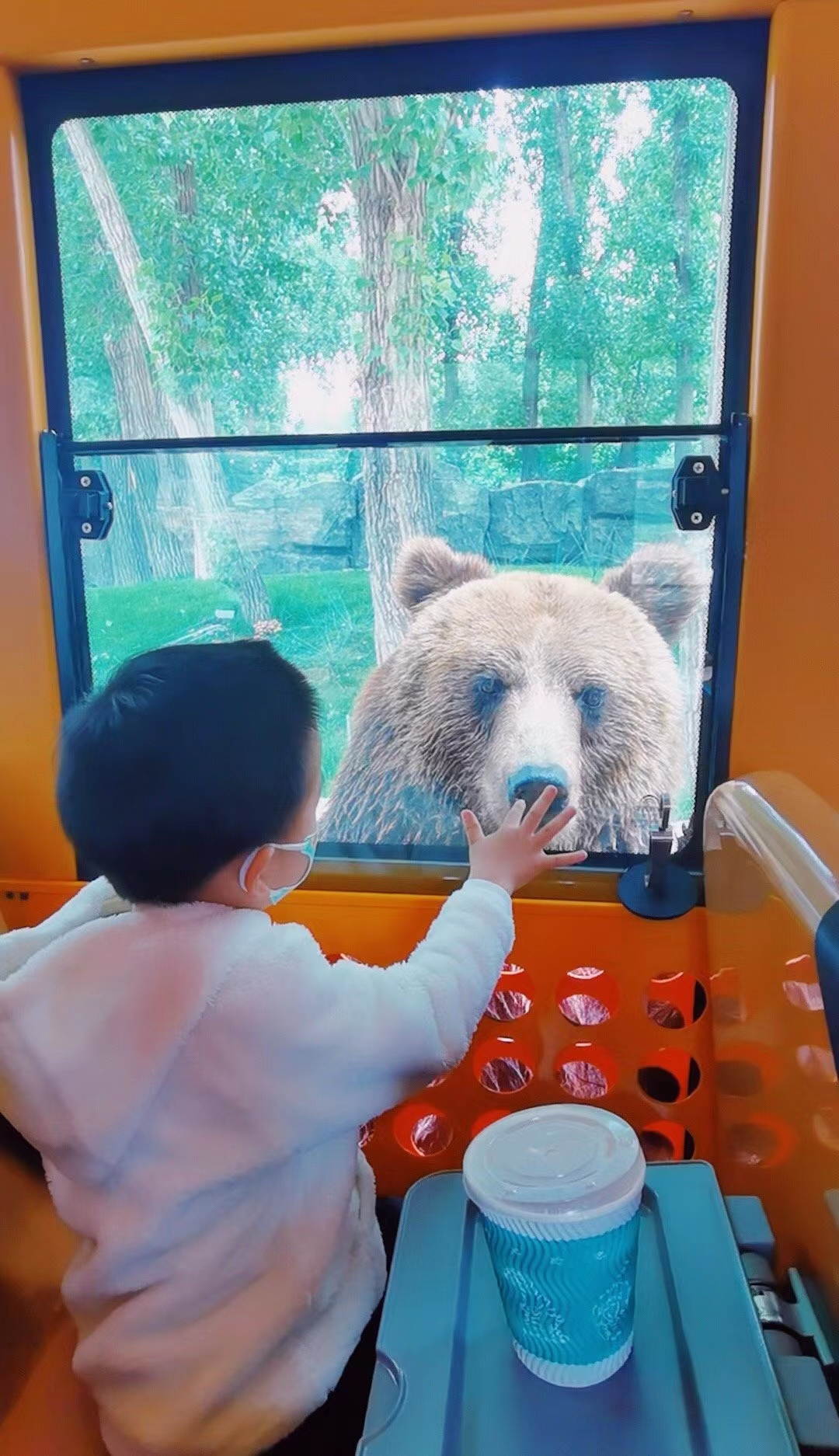 野生动物乐园——（散游大兴野生动物园）-北京旅游攻略-游记-去哪儿攻略