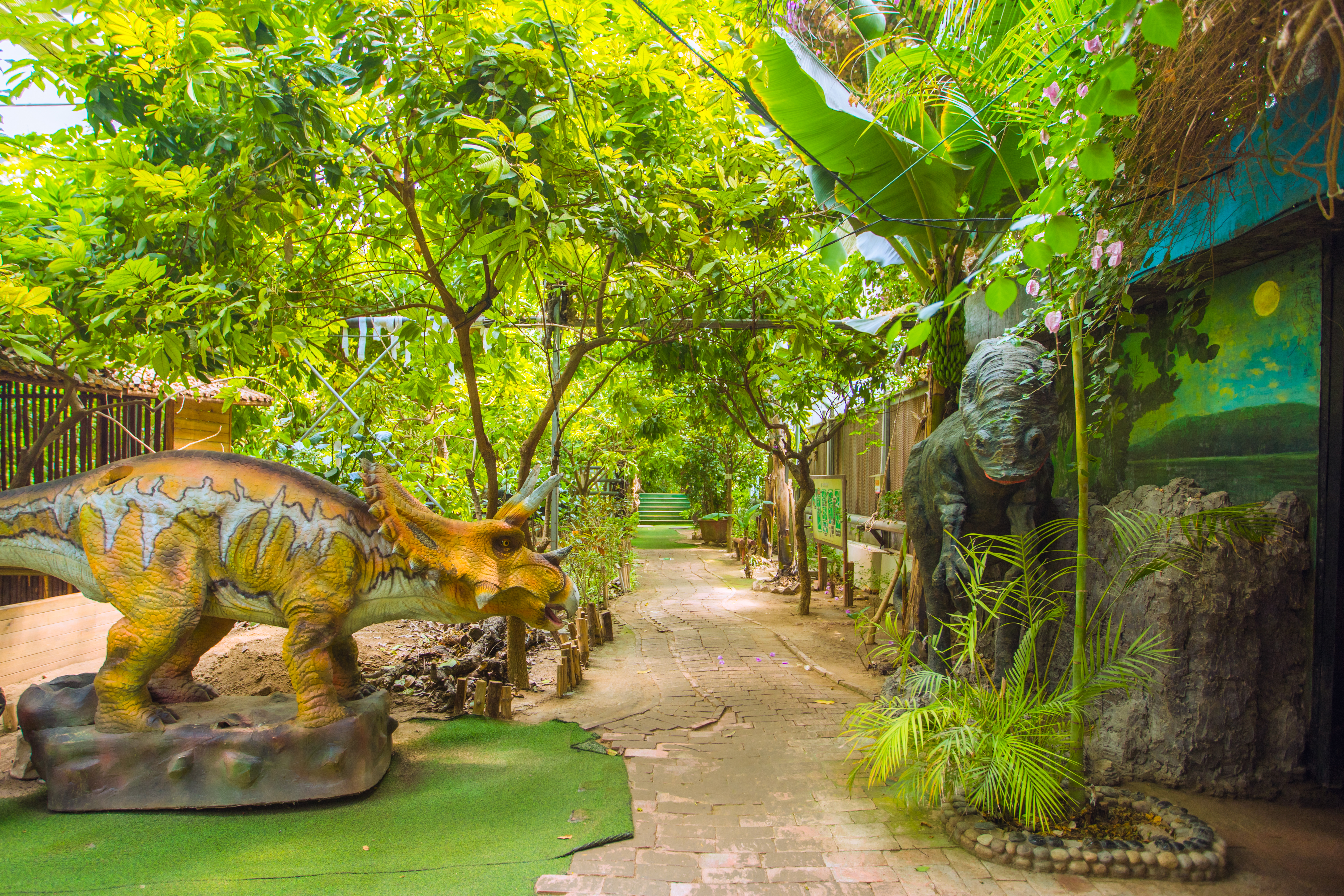 大兴呀路古热带植物园