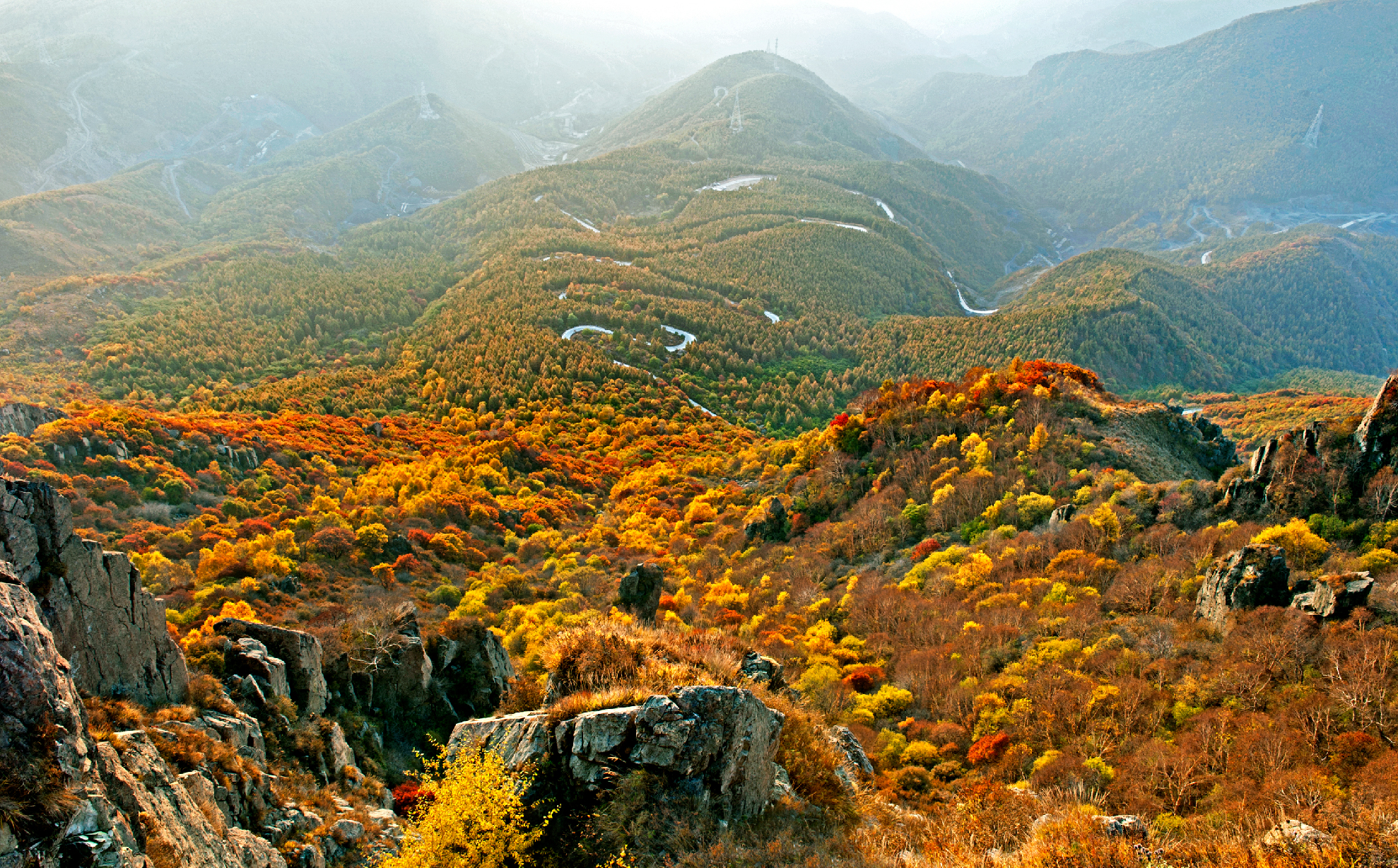 百花山