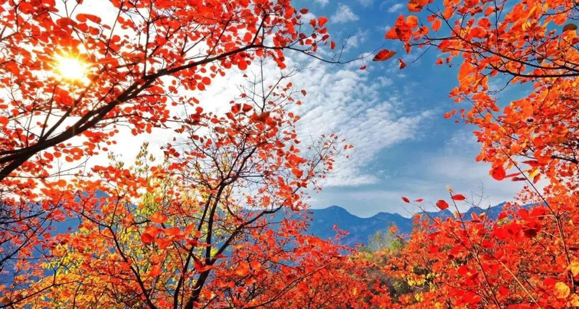 坡峰岭