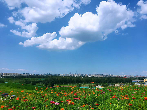 南苑森林湿地公园
