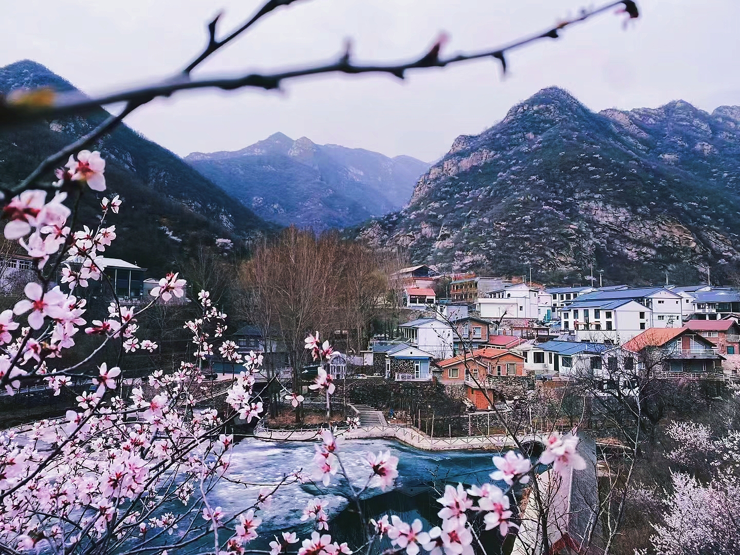 清水镇美丽乡村