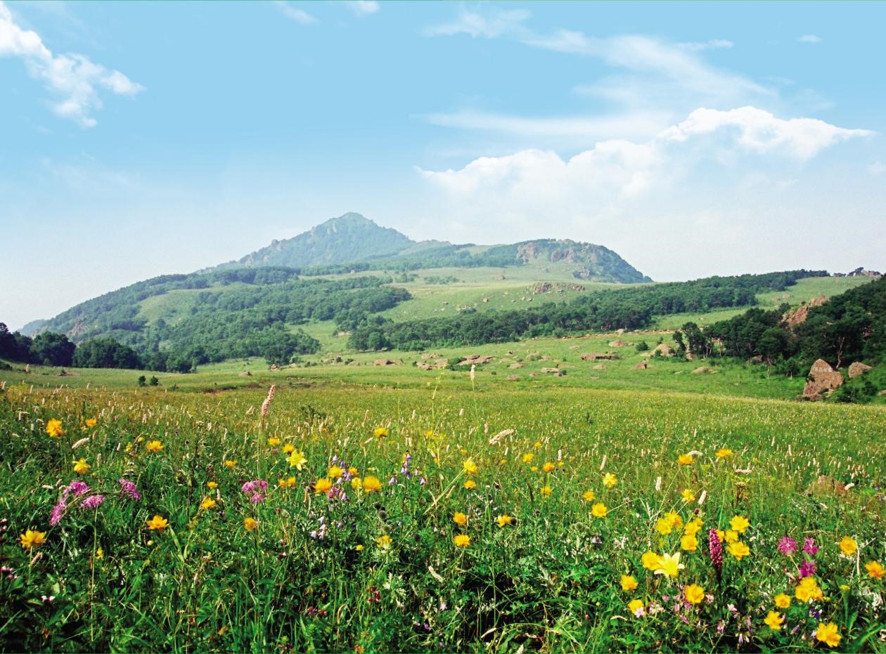 百花山