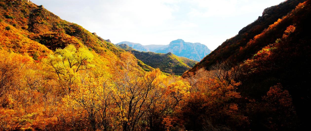 聚灵峡灵山古道