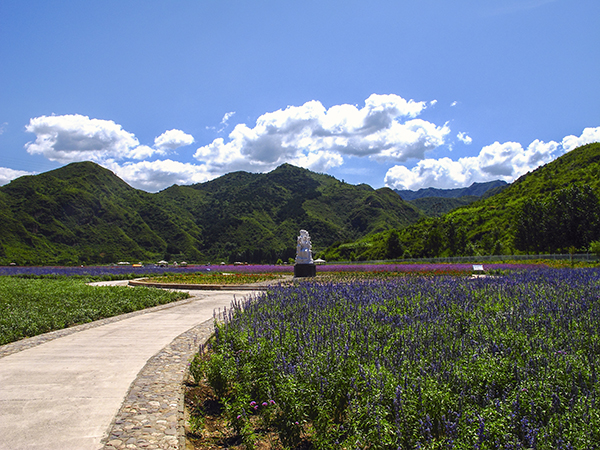 【红色旅游线路】北庄追忆革命道路 红色乡村文化游