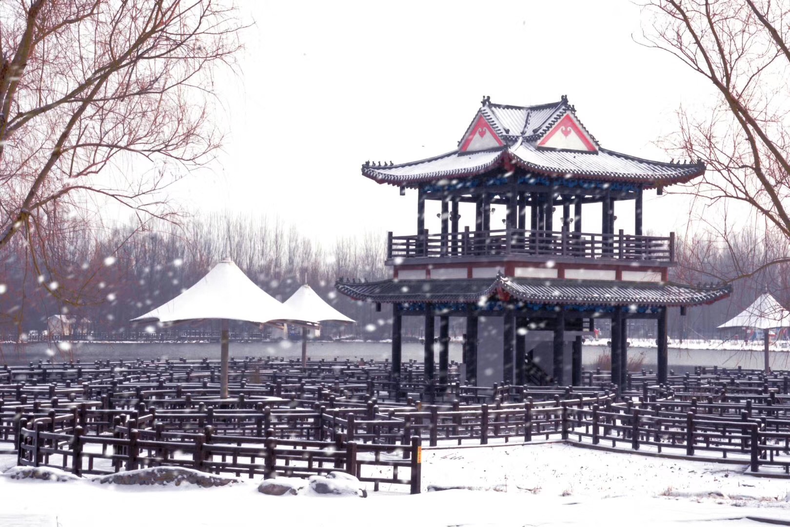 鲜花港.jpg