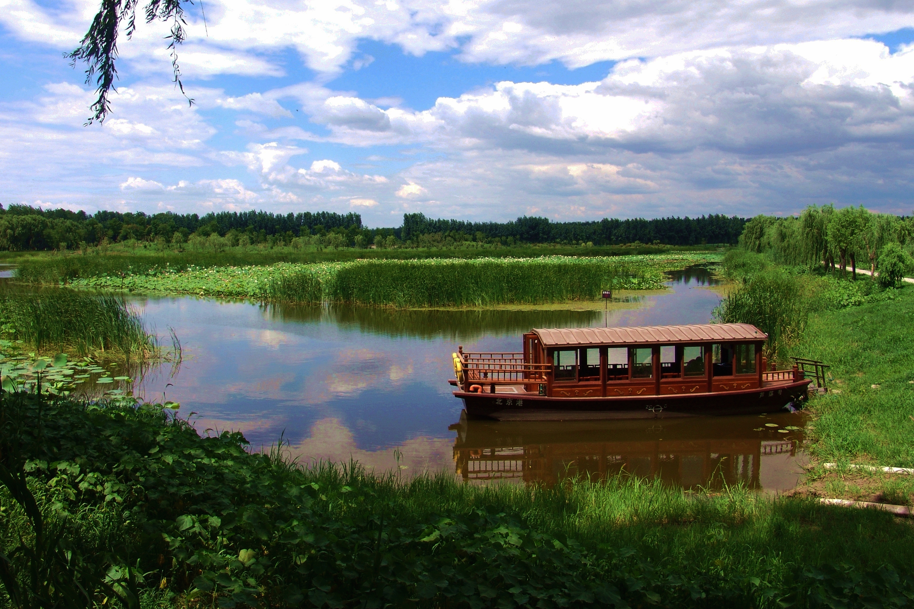 汉石桥湿地
