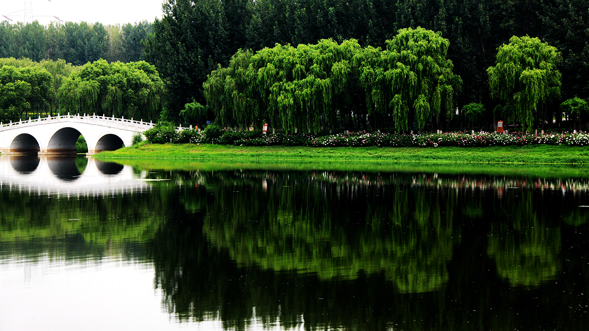 运河风情