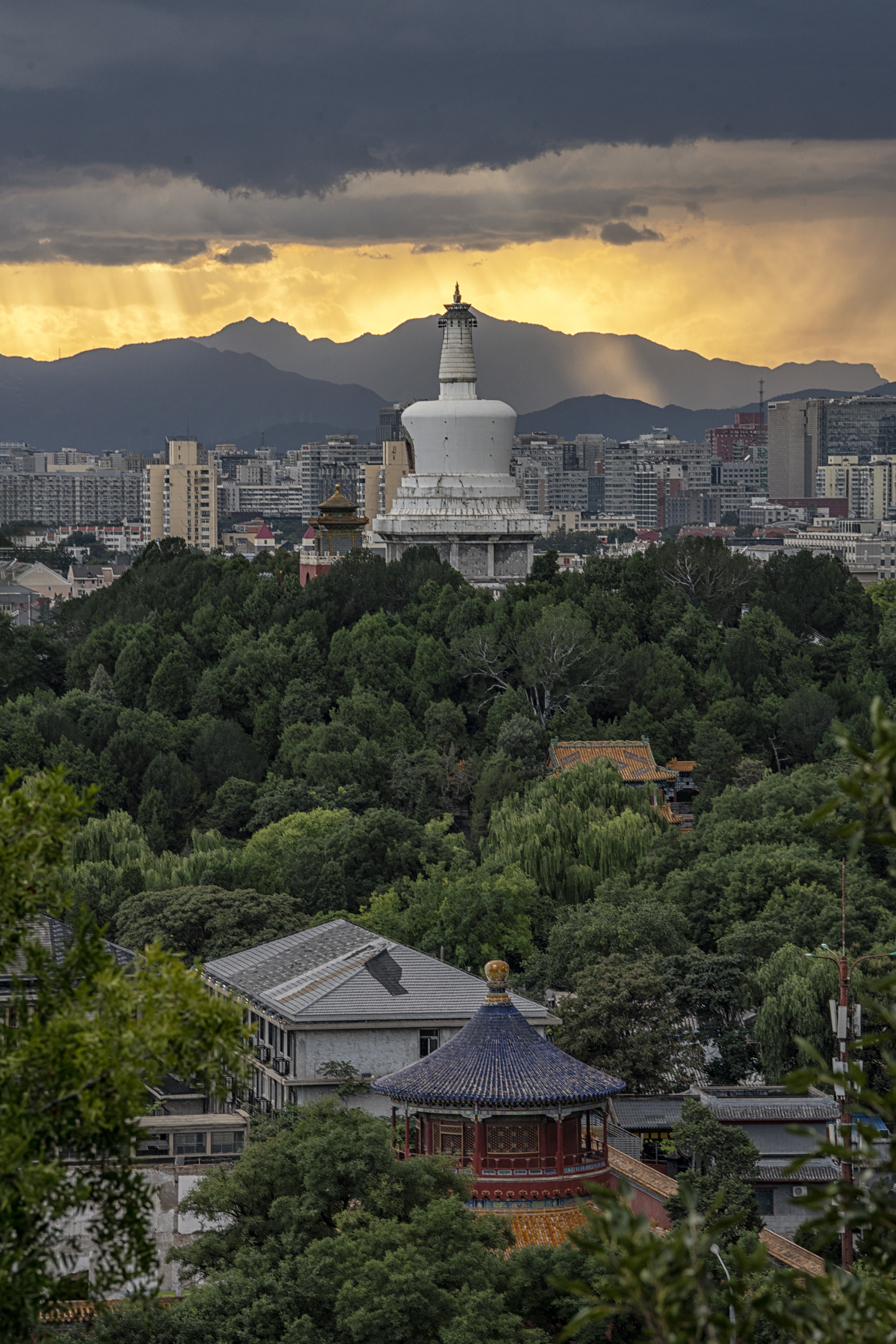 绿荫白塔