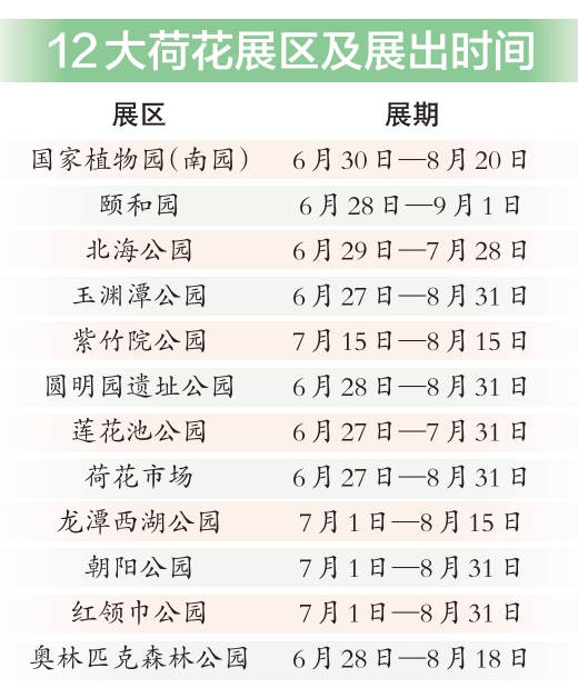 荷花文化节开幕 2000亩荷花展出300余品种