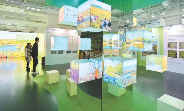 展览中的装置作品展示了绿隔地区的各种生态之美。
