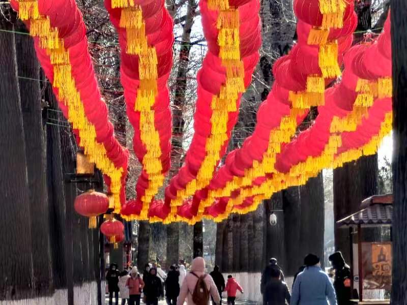 北京市属公园80余项春节游园活动 农历小年开启