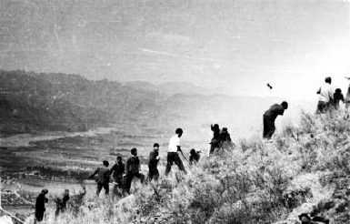 1982年春中直机关干部上山植树 杨振君摄