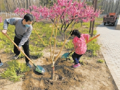 2020年义务植树家庭日活动