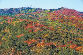 西山森林公园 何建勇摄