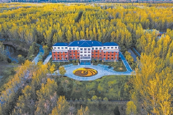共青林场