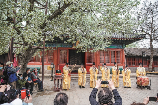 智化寺梨花盛开，胡庆学和其他传承人一起为中外游客演奏京音乐。（武亦彬 摄）