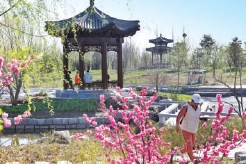 城市绿心森林公园