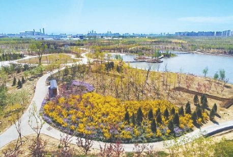 2021年年底即将亮相的朝阳区金盏森林公园绿化将“喝”上再生水。