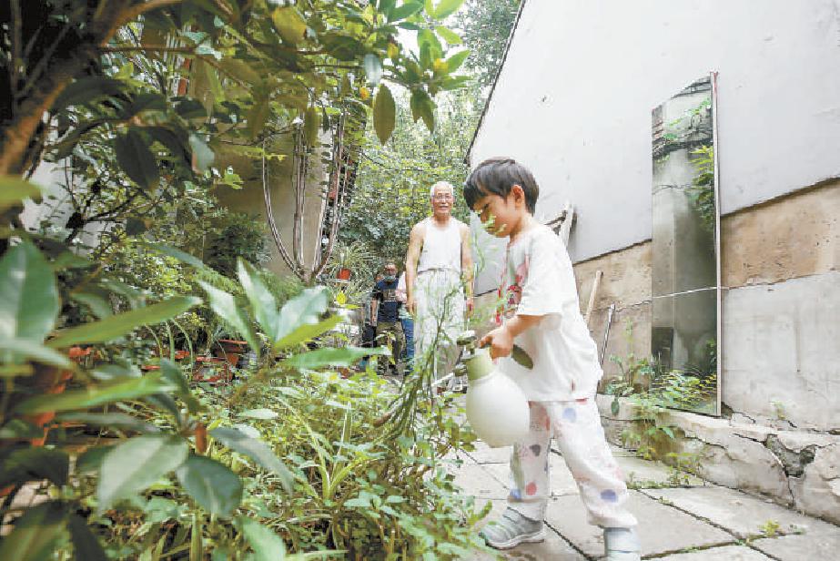 东四十四条，居民王铁城的小外孙正为自家院里的樱桃树浇水。（何建勇 摄）