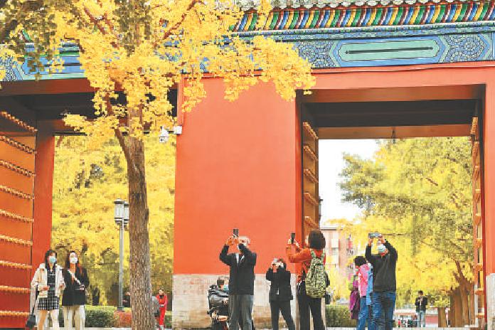 2021年10月28日，地坛公园里银杏树叶已逐渐变黄，不少市民前来观叶赏秋。（邓伟 摄）