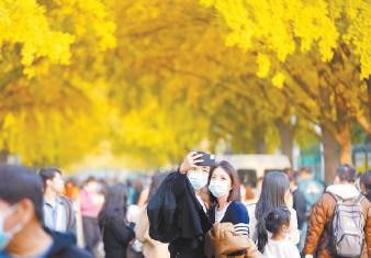 三里屯东五街的银杏大道成为繁华都市里一道亮丽的风景线。 （方非摄）