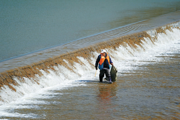管护员穿着雨靴在冰冷的河水中清理树枝等杂物。