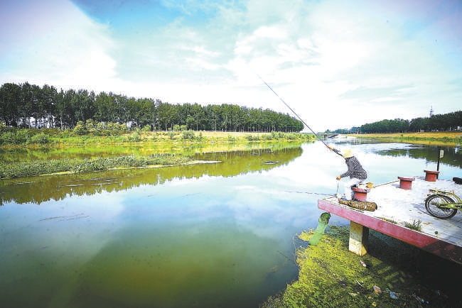 凉水河经过治理后，河道景观有了明显提升。（唐建 摄）