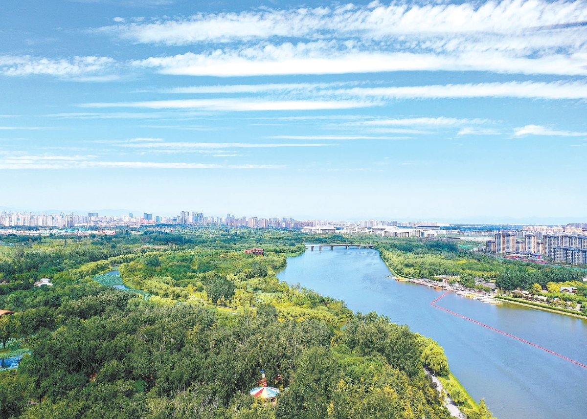 大运河畔，城市绿心森林公园满目葱茏。（马文晓 摄）