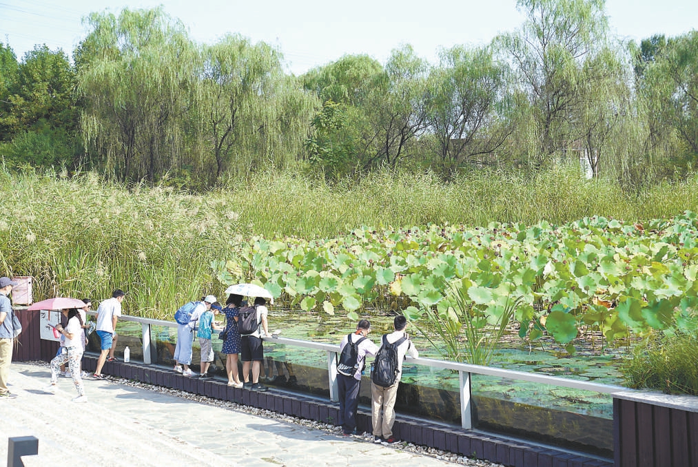 昨天是北京湿地日，市民在翠湖国家城市湿地公园内游览。