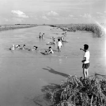 1956年，河堤被连日的雨水冲决三处，部分田地被水淹没，抢险社员正在堵塞温榆河一处决口。